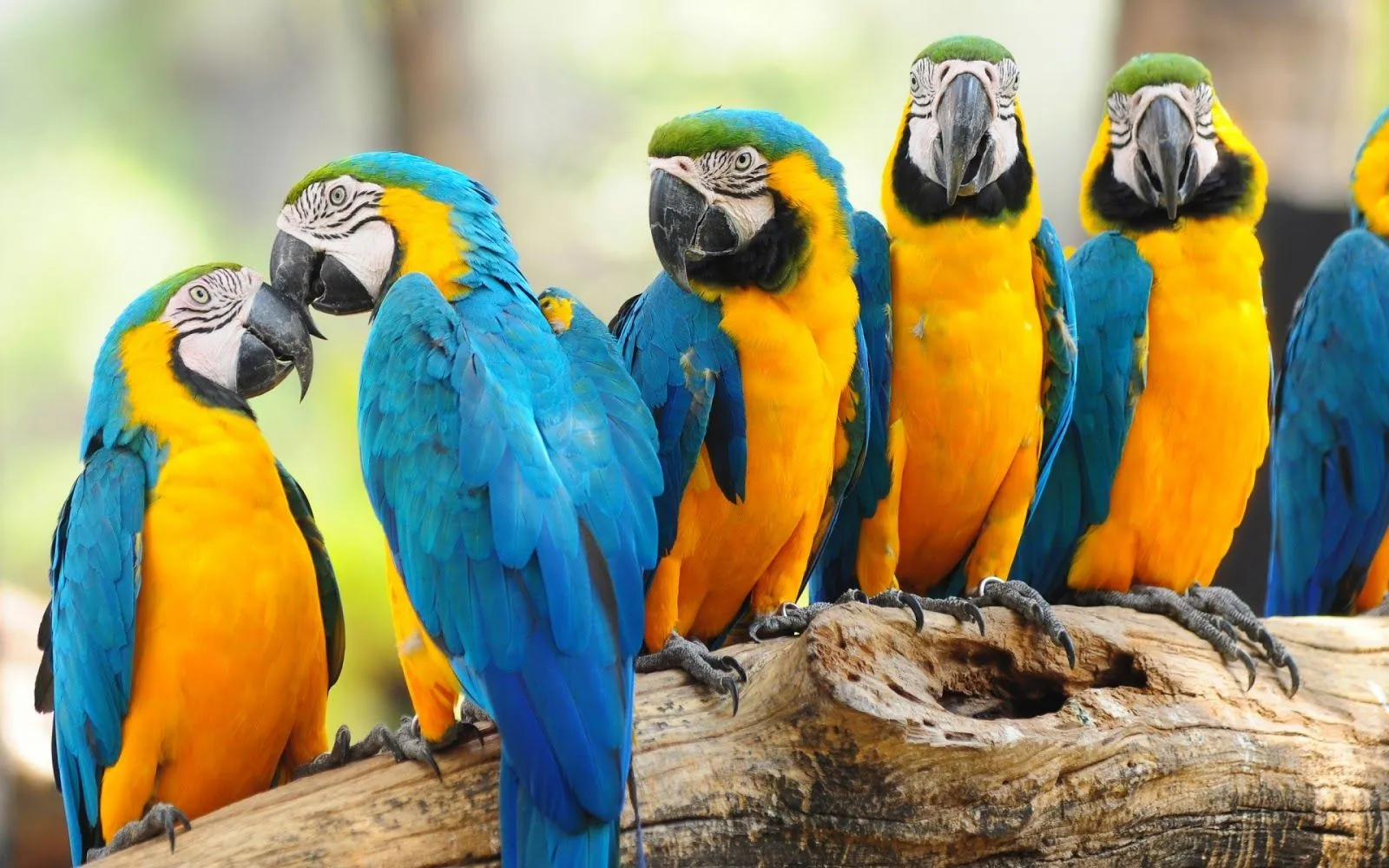 Bonitos Wallpapers en HD para disfrutar | My Pictures World Bonitos Wallpapers en HD para disfrutar | My Pictures World