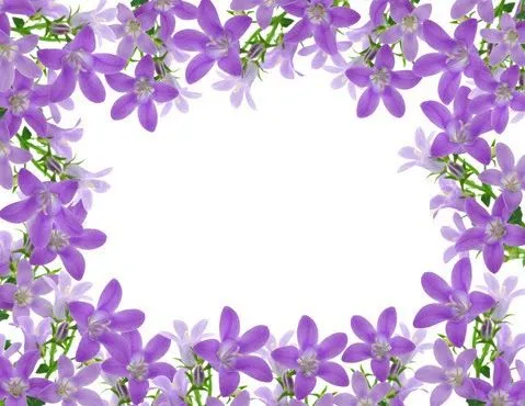 Imagenes de flores para borde de una invitación - Imagui