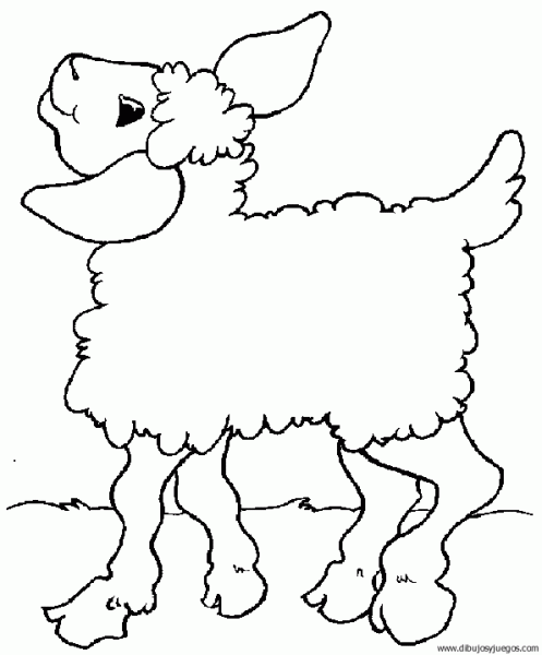 dibujo-de-oveja-045 | Dibujos y juegos, para pintar y colorear