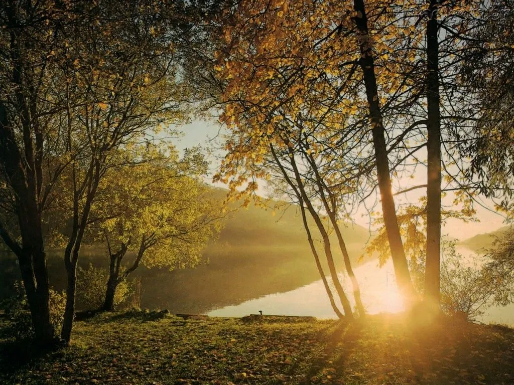Hay que ver el bosque y no solo el árbol” « yoendesarrollo. Hay que ver el bosque y no solo el árbol” « yoendesarrollo.