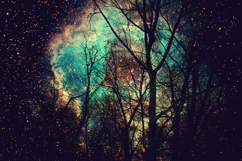el bosque de los corazones dormidos | Tumblr