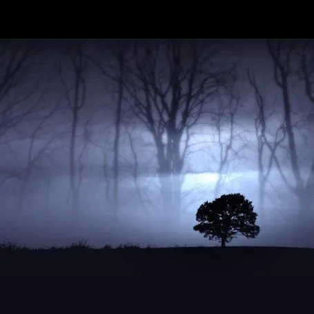 Bosque oscuro ipad wallpaper to download