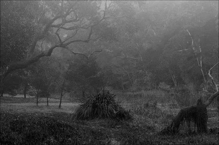 El Bosque es un lugar tranquilo: Un pequeño pensamiento - Taringa! El Bosque es un lugar tranquilo: Un pequeño pensamiento - Taringa!