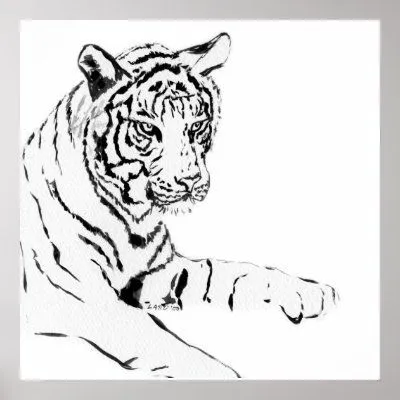 Bosquejo negro y blanco del tigre impresiones de Zazzle. Bosquejo negro y blanco del tigre impresiones de Zazzle.