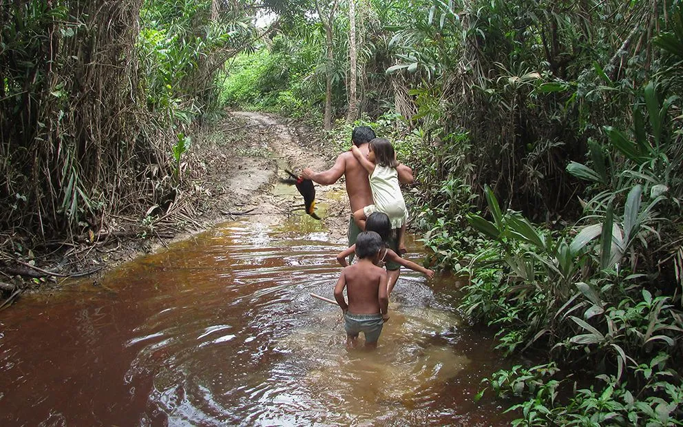 Brasil: La selva contra el fin del mundo - Pie de Página