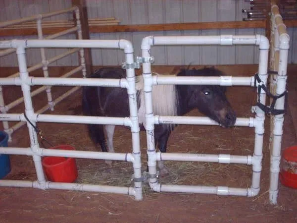 Build portable PVC corral pens for your pony, goat, pig, cattle ...