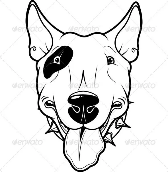 Bull Terrier |