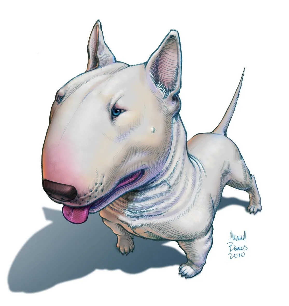 Bull terrier dibujo - Imagui