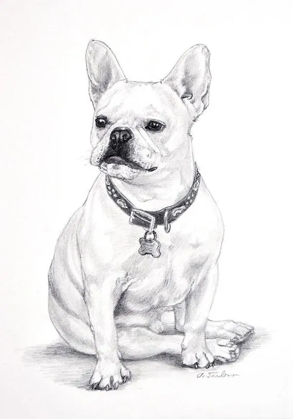 Bulldog francés sentado perro Art Print en 8 x 10 por PTarlowArt