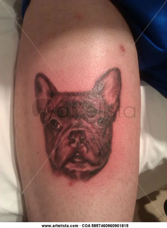 Bulldog frances tatuaje,tattoo en negro por Moacir lemos ...