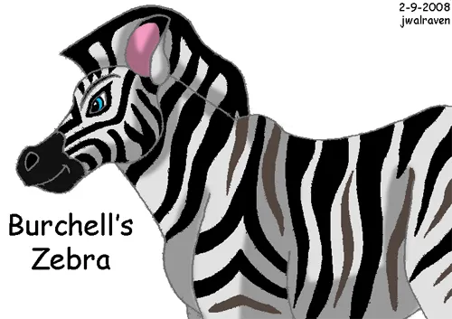 Burchell's Zebra « jwalraven's Album — Fan Art Albums of My Lion King Burchell's Zebra « jwalraven's Album — Fan Art Albums of My Lion King