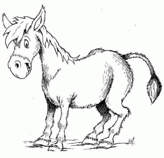 Dibujo de Burro divertido para colorear. Dibujos infantiles de ...