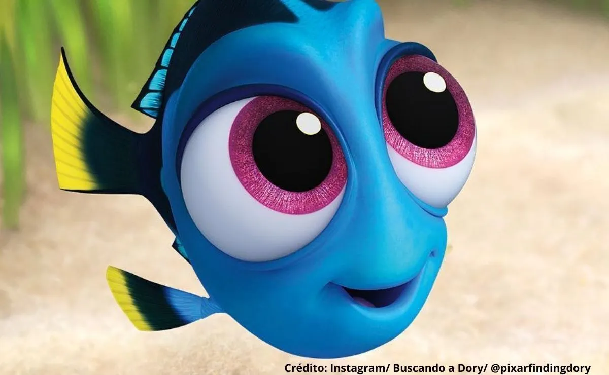En dónde se encuentra Buscando a Dory en el mundo Pixar?