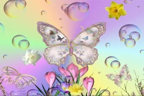 Butterfly Live Wallpapers HD - Butterfly Live Wallpapers HD Free ...