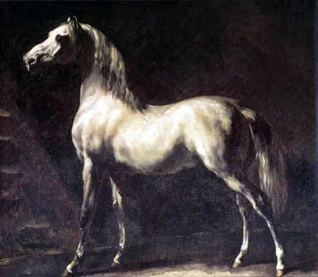 Caballo árabe gris-blanco - Théodore Géricault - como impresión ...