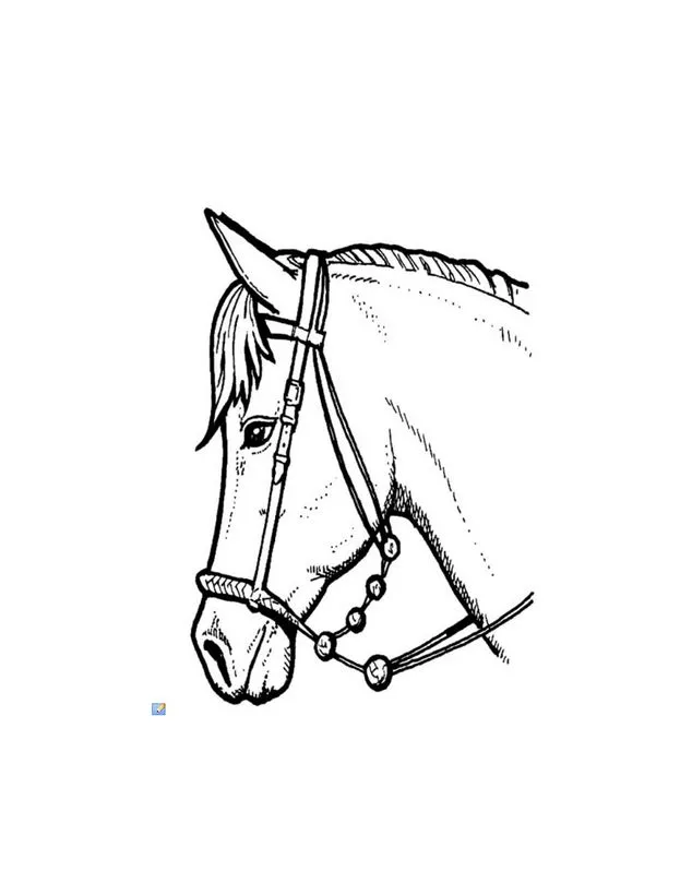 Dibujos de CABALLOS para colorear e imprimir, perfil de un caballo ...