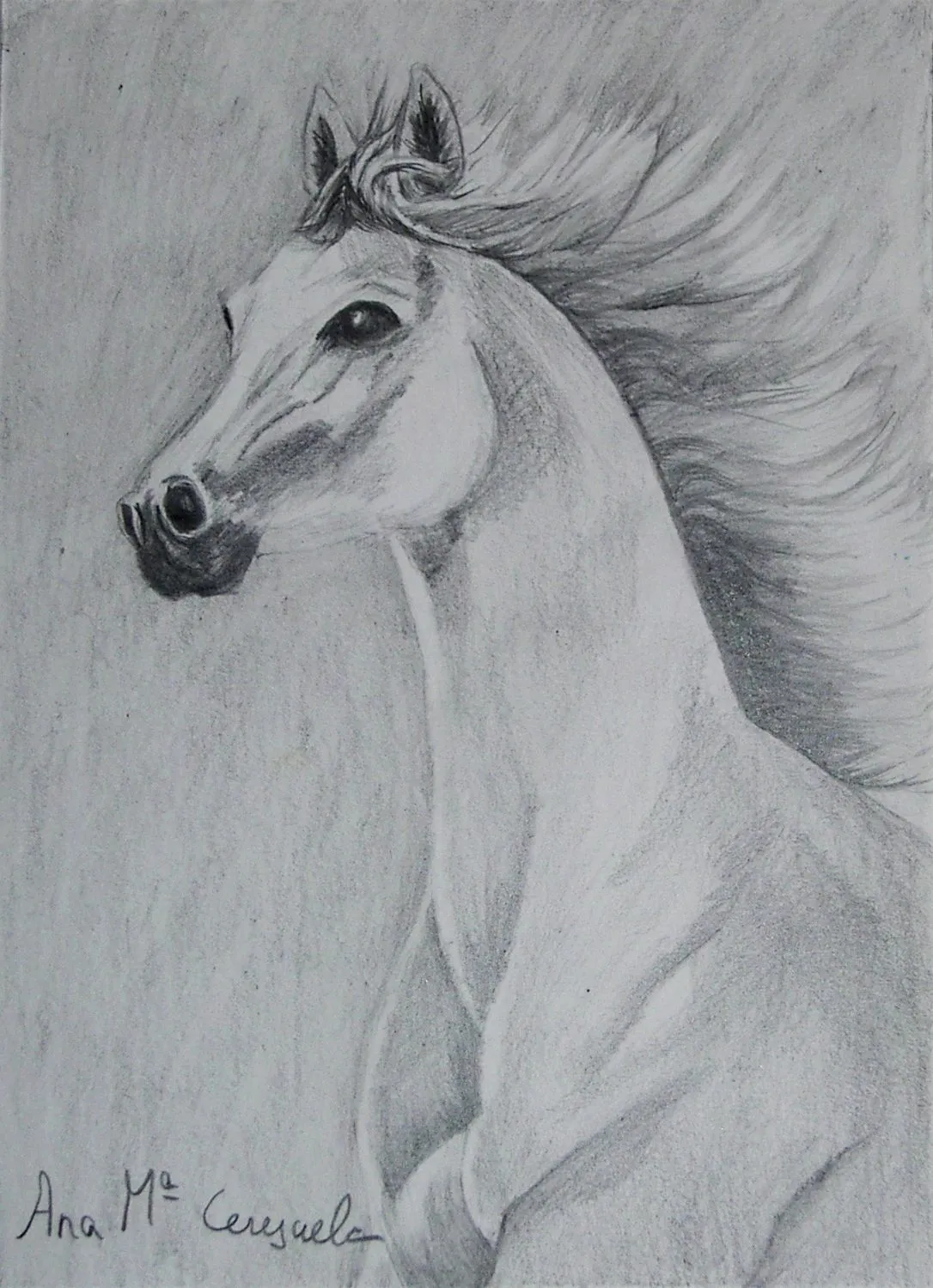 Caballo (en movimiento) « Arte Ana Mª Cerezuela Caballo (en movimiento) « Arte Ana Mª Cerezuela
