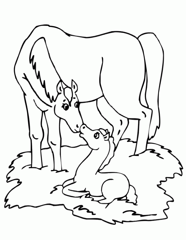 Caballo con su potrillo para colorear. Dibujos infantiles de Caballo ... Caballo con su potrillo para colorear. Dibujos infantiles de Caballo ...