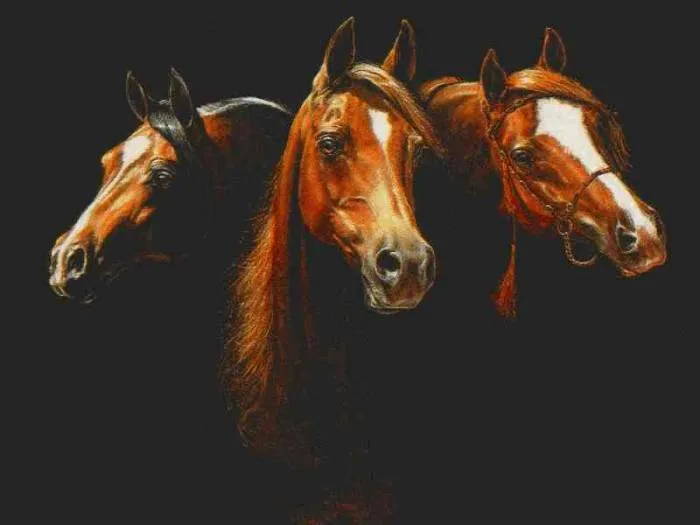 caballos alexander checo - Artelista.com