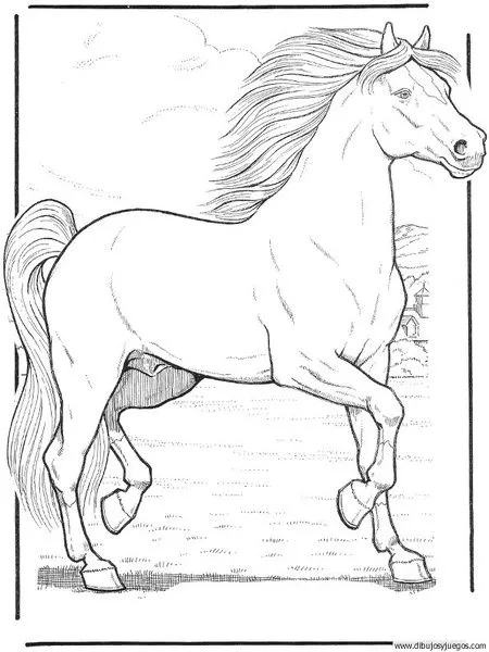 dibujo-de-caballo-043 | Dibujos y juegos, para pintar y colorear