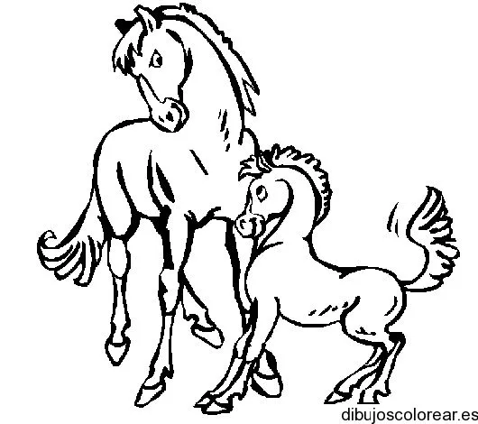 Dibujo de dos caballos | Dibujos para Colorear