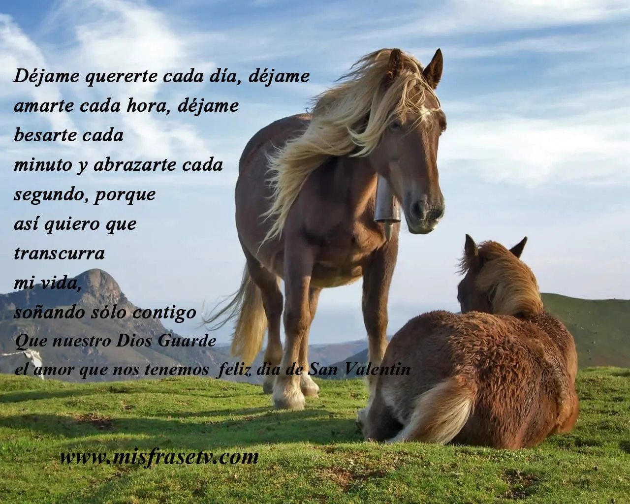 Imagenes de caballos con frases lindas - Imagui