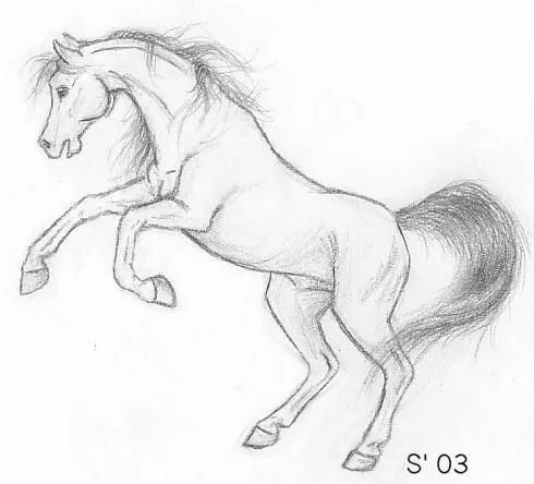 dibujos de caballos - Buscar con Google | caballos | Pinterest ...
