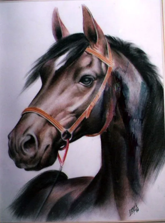 Cabeza de caballo dibujo a lapiz - Imagui
