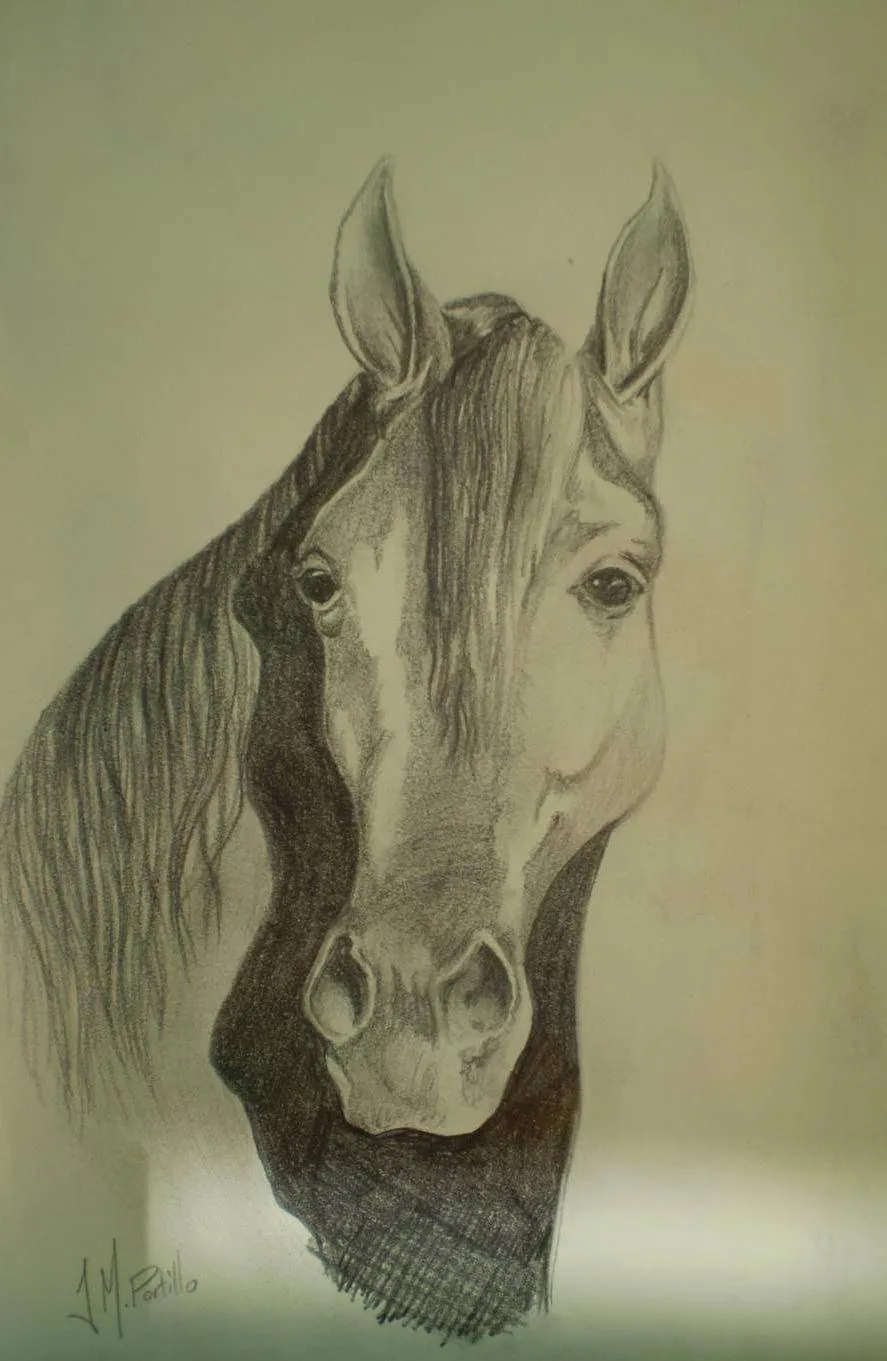 Cabeza de caballo 1. Preparacion para metamorfosis. Jose Manuel ... Cabeza de caballo 1. Preparacion para metamorfosis. Jose Manuel ...