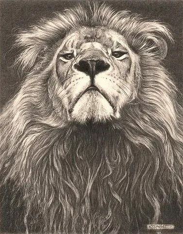 Cabeza de la Familia' - León - Dibujos de Lápiz de Arte Finos www ...