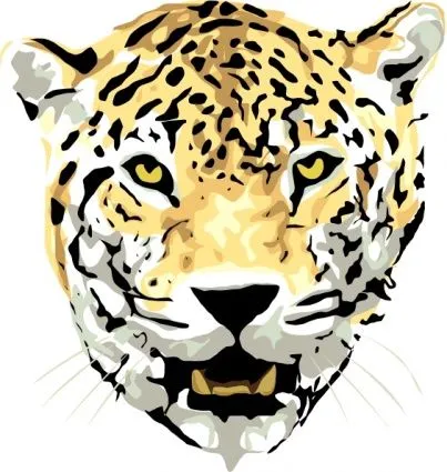 Cabeza gato esquema dibujo cara de dibujos animados Jaguar salvaje ...