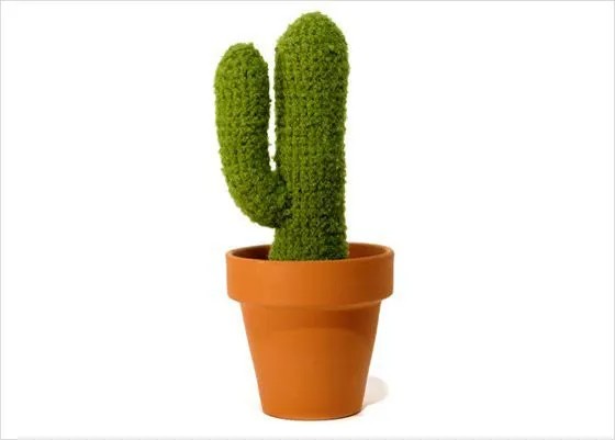 el blog de Kyoko: Tu hogar es donde están tus cactus