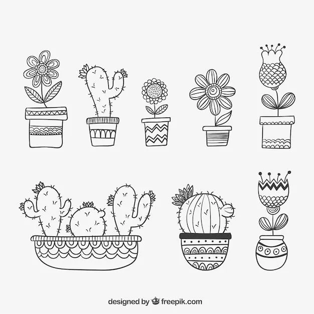 Cactus Vector | Fotos y Vectores gratis
