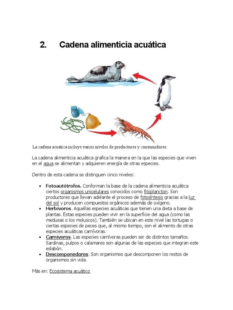 Cadena Alimenticia Acuática-2 | PDF