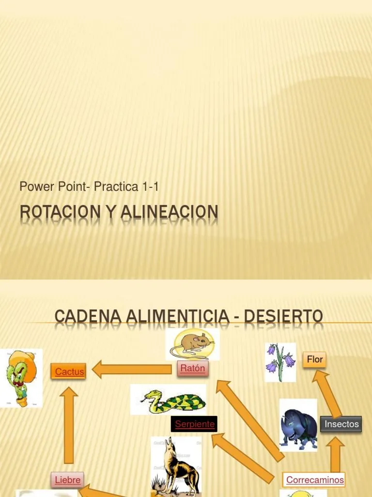 Cadena Alimenticia | PDF | Coyote | Naturaleza