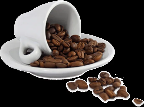 CAFE CON GANODERMA PRODUCTOS DE LIMPIEZA BIODEGRADABLES CAFE CON GANODERMA PRODUCTOS DE LIMPIEZA BIODEGRADABLES