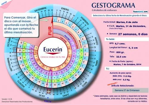 Calculadora de embarazo: gestograma - Facemama.com