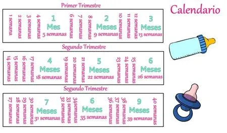 Calculo de Semanas, meses y trimestres - Bebés de Agosto 2014 ... Calculo de Semanas, meses y trimestres - Bebés de Agosto 2014 ...