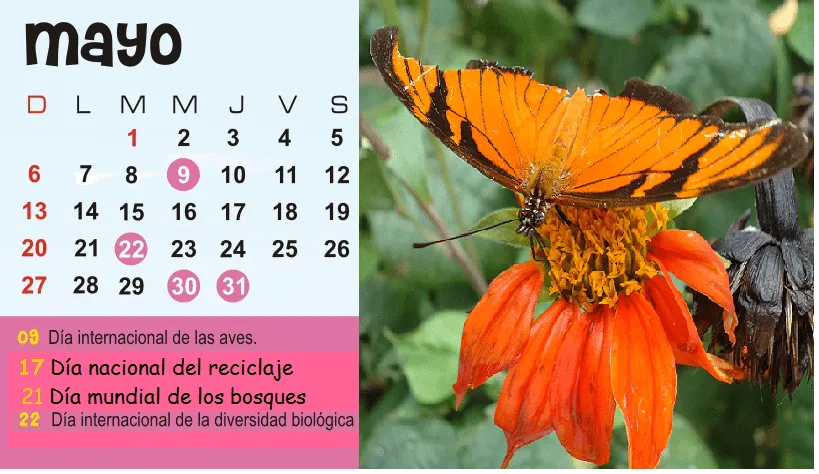 Calendario ambiental colombia 2013 - Imagui