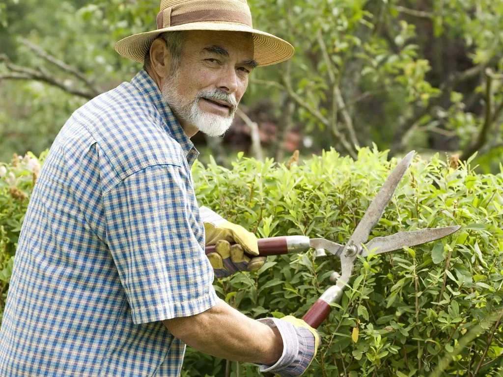 calendario jardinero mensual | Cuidar de tus plantas es facilisimo. calendario jardinero mensual | Cuidar de tus plantas es facilisimo.