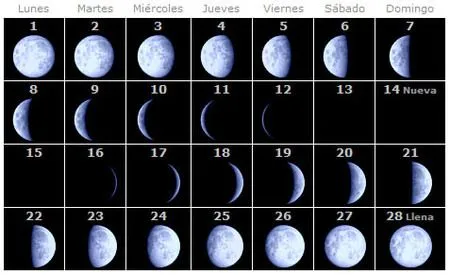 Calendario lunar para conocer el momento del parto (febrero de 2010)