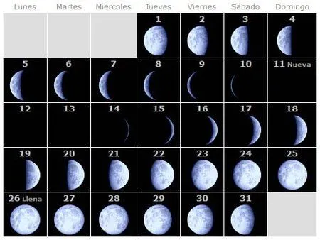 Calendario lunar para conocer el momento del parto (julio de 2010)