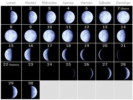 Calendario lunar para conocer el momento del parto (junio de 2009)