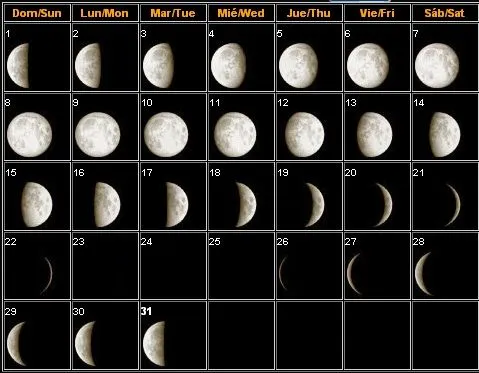 Calendario lunar para pesca 2012 - Imagui