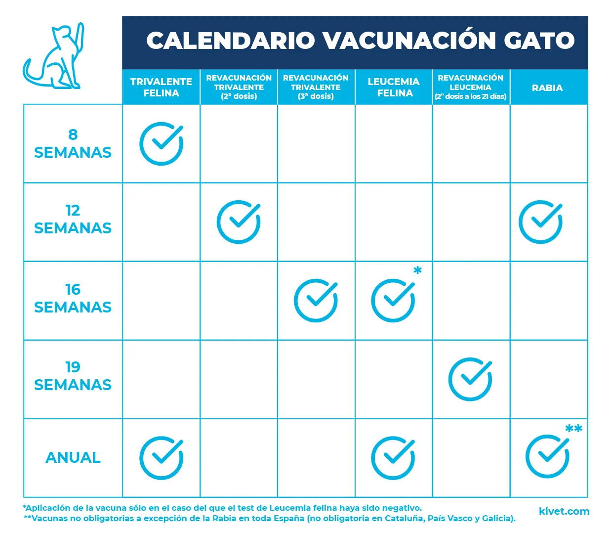 Calendario de vacunas para gatos - Blog Kivet