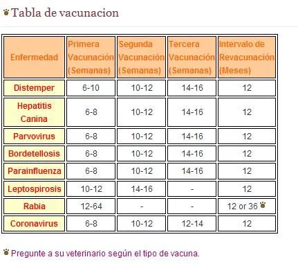 Calendario de vacunas para perros y cachorros - Zonaperro.com ...