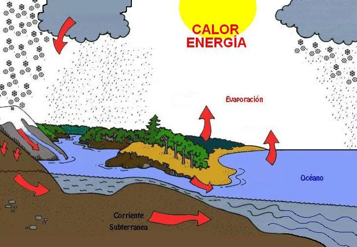 Dibujo del ciclo del agua y explicacion - Imagui