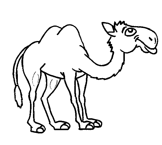 Camello para colorear