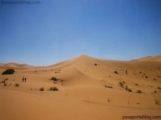 camellos-y-desierto-de-dunas- ...