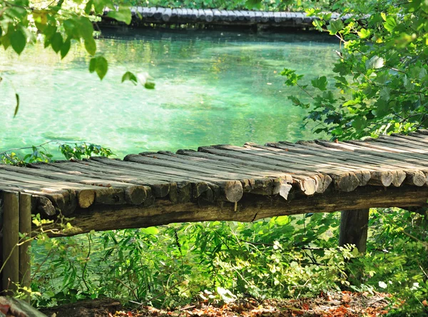 camino de madera sobre el lago — Foto stock © connect #4857675